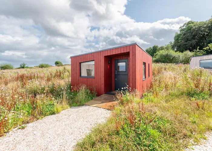 Rustic Cabins, Sea Views From Rewilded Farm With Highland Cows